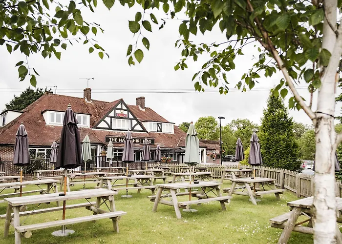 The Hampshire Hog